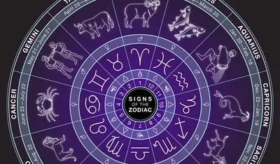 Chinese Zodiac Astrology